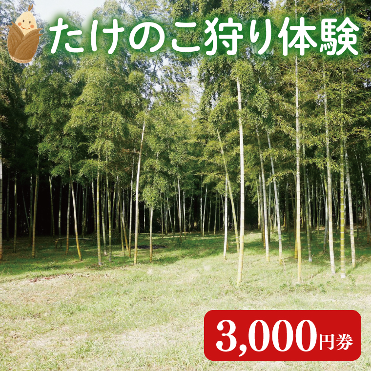 【2026年3月下旬より発送開始】『茨城県阿見町』1日2組限定 たけのこ狩り体験 3,000円券｜収穫体験 食育  農業体験 自然体験 旬 春限定 レジャー タケノコ 筍 季節イベント（23-02）