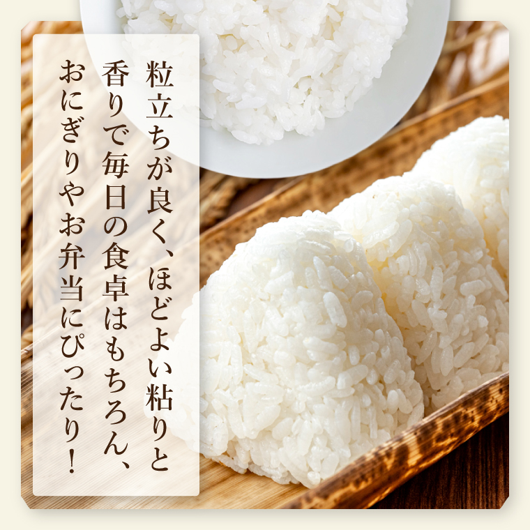 茨城県産阿見町産こしひかり つくばのかおり 精米 10kg（5kg×2）｜茨城県産米 ブランド米 お米 白米 ご飯 おにぎり お弁当 人気 国産米 コシヒカリ（20-02-1）