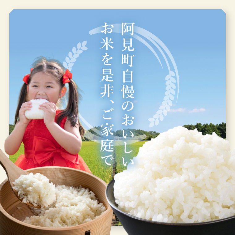 茨城県産阿見町産こしひかり つくばのかおり 精米 10kg（5kg×2）｜茨城県産米 ブランド米 お米 白米 ご飯 おにぎり お弁当 人気 国産米 コシヒカリ（20-02-1）