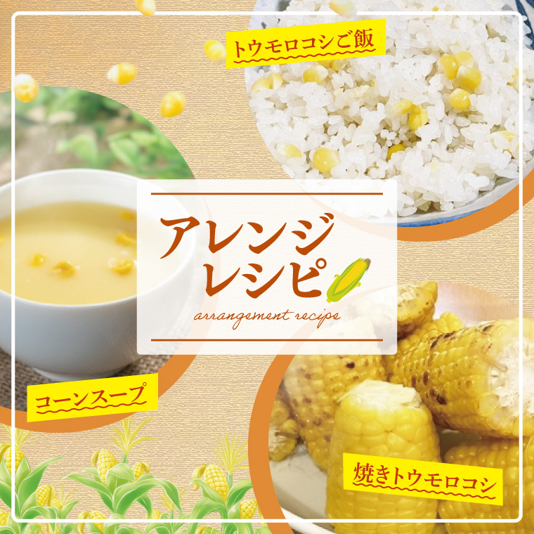 とうもろこし トウモロコシ 6本入 甘い フルーツコーン 朝採れ 茨城県産 阿見町 産地直送 限定 お取り寄せ 夏 春 旬 先行予約【2026年6月下旬より順次配送】（73-01）