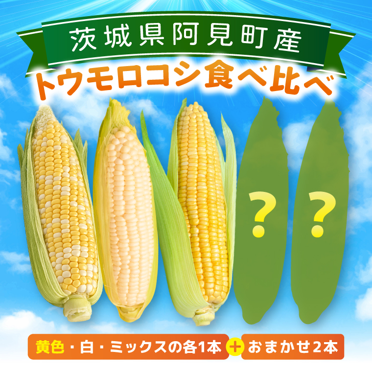 とうもろこし 朝採り 食べ比べ 5本 セット 先行予約 茨城県 阿見町産 産地直送 フルーツコーン トウモロコシ コーン 黄 白 ミックス おすすめ 甘い 新鮮 国産 夏 旬 野菜 お取り寄せ 【2026年6月発送】（73-03）
