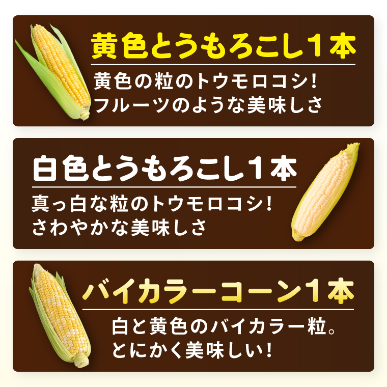 とうもろこし 朝採り 食べ比べ 5本 セット 先行予約 茨城県 阿見町産 産地直送 フルーツコーン トウモロコシ コーン 黄 白 ミックス おすすめ 甘い 新鮮 国産 夏 旬 野菜 お取り寄せ 【2026年6月発送】（73-03）