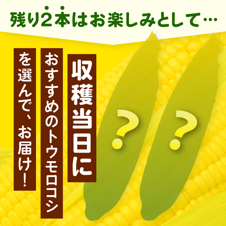とうもろこし 朝採り 食べ比べ 5本 セット 先行予約 茨城県 阿見町産 産地直送 フルーツコーン トウモロコシ コーン 黄 白 ミックス おすすめ 甘い 新鮮 国産 夏 旬 野菜 お取り寄せ 【2026年6月発送】（73-03）