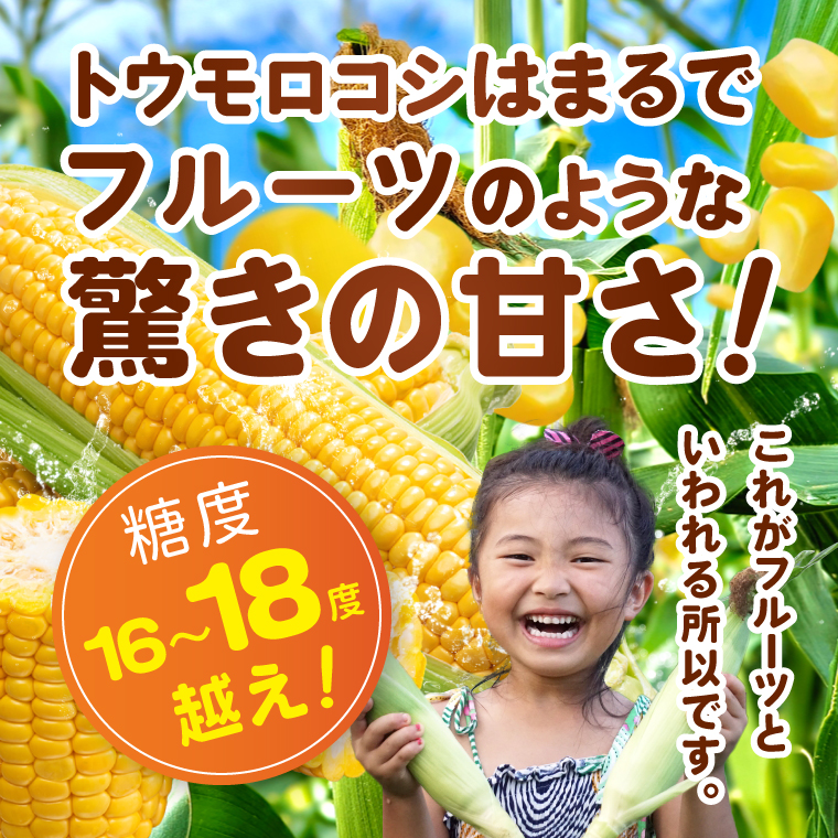 とうもろこし 朝採り 食べ比べ 5本 セット 先行予約 茨城県 阿見町産 産地直送 フルーツコーン トウモロコシ コーン 黄 白 ミックス おすすめ 甘い 新鮮 国産 夏 旬 野菜 お取り寄せ 【2026年6月発送】（73-03）