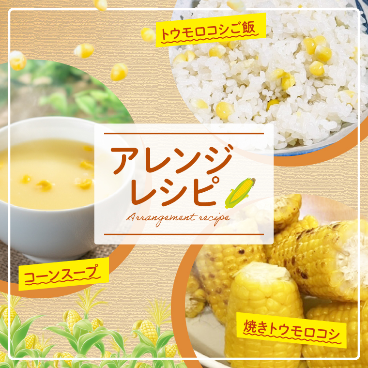 とうもろこし 朝採り 食べ比べ 5本 セット 先行予約 茨城県 阿見町産 産地直送 フルーツコーン トウモロコシ コーン 黄 白 ミックス おすすめ 甘い 新鮮 国産 夏 旬 野菜 お取り寄せ 【2026年6月発送】（73-03）