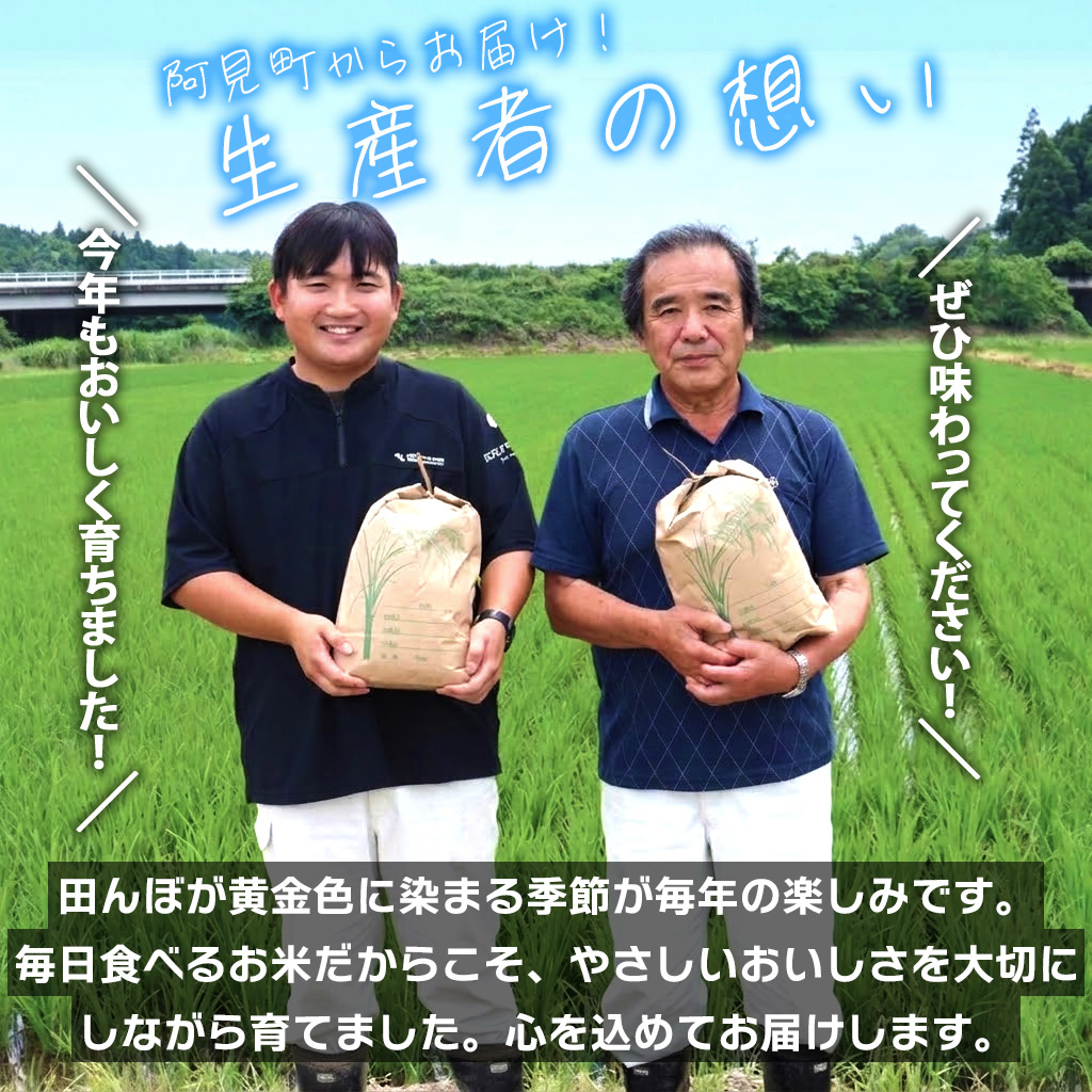 米 あきたこまち 精米 15kg 令和7年産 茨城県産 お米 こめ コメ ごはん 白米 アキタコマチ 茨城県産米 単一米 単一原料米 安心 安全 送料無料 国産 人気 数量限定 高評価（85-199）