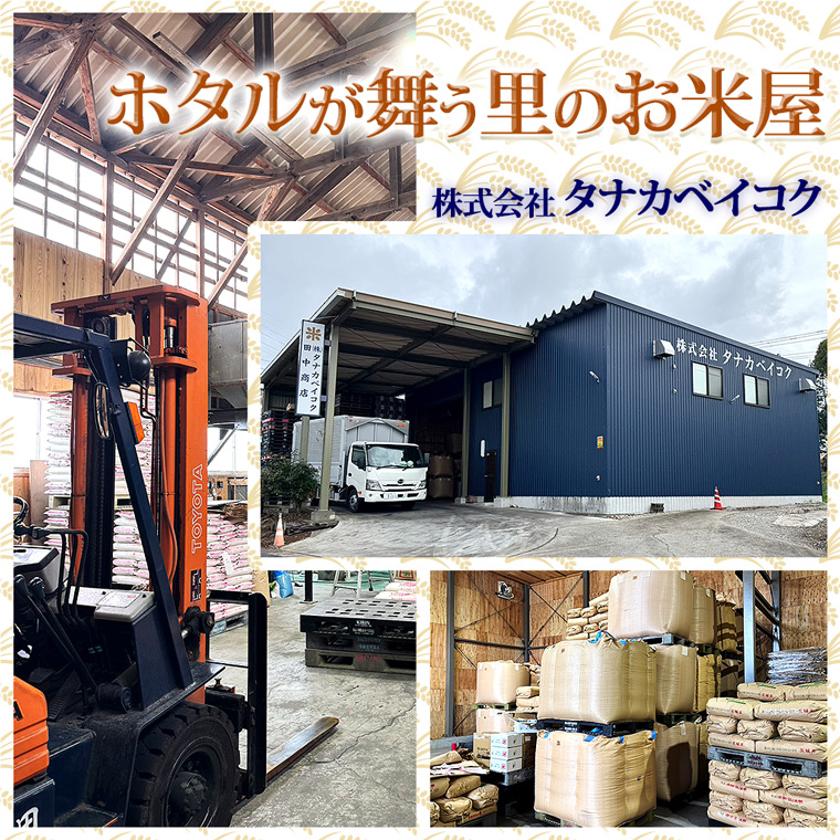 米 あきたこまち 精米 15kg 令和7年産 茨城県産 お米 こめ コメ ごはん 白米 アキタコマチ 茨城県産米 単一米 単一原料米 安心 安全 送料無料 国産 人気 数量限定 高評価（85-199）