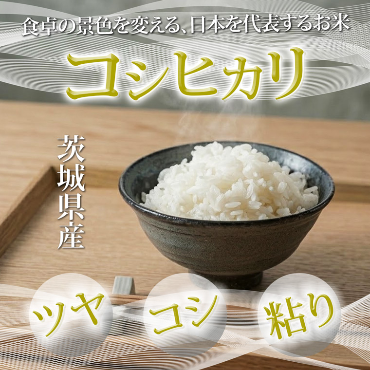 米 コシヒカリ 精米 20kg 令和7年産 茨城県産 お米 こめ コメ ごはん 白米 こしひかり 茨城県産米 単一米 単一原料米 安心 安全 送料無料 国産 人気 数量限定 高評価（85-200）