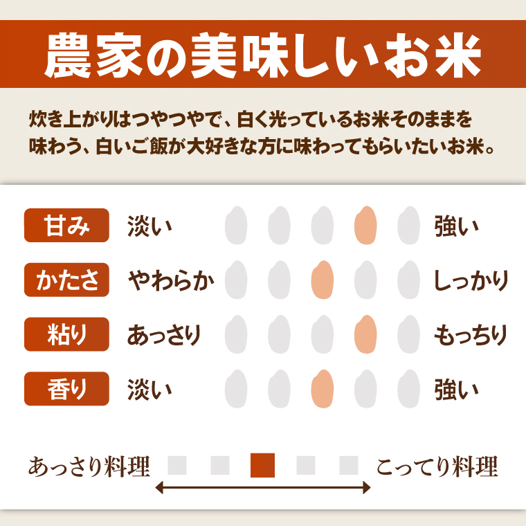 米 農家の美味しいお米 精米 20kg 令和7年産 茨城県産 阿見町産 お米 こめ コメ ごはん 白米 茨城県産米 安心 安全 送料無料 国産 人気 数量限定 高評価（85-202）