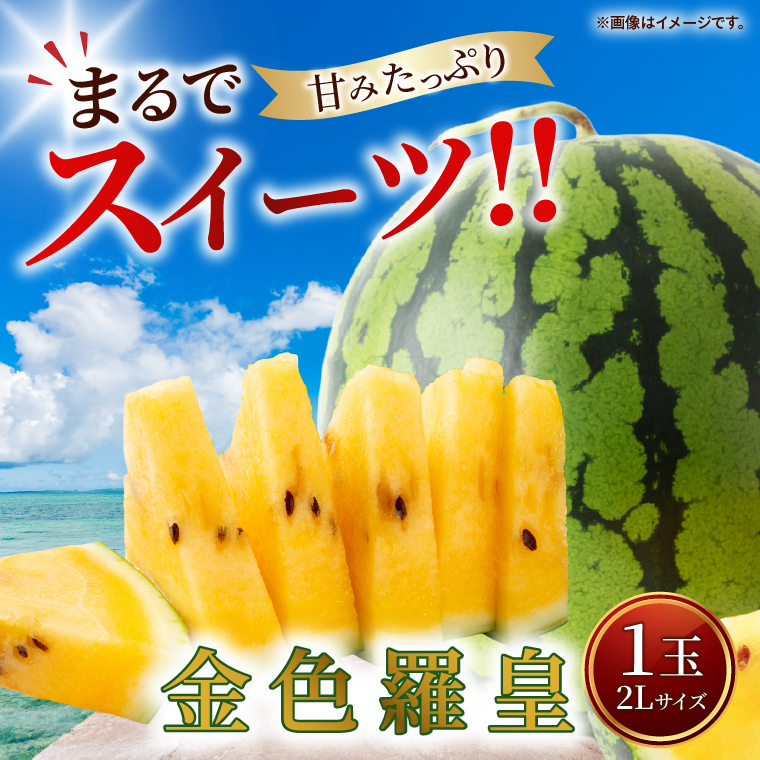 すいか 金色羅皇 2L（1玉） 西瓜 高糖度 シャリ感 甘い 夏限定 旬 フルーツ すいか 人気 産地直送 ギフト 茨城県 阿見町【先行予約｜2026年6月中旬より発送】（76-09）
