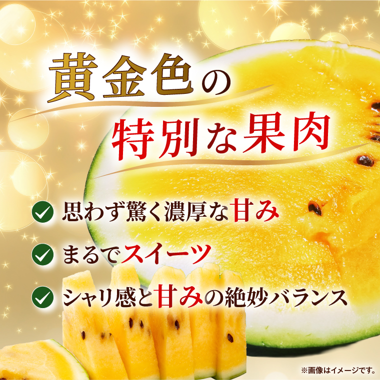 すいか 金色羅皇 2L（1玉） 西瓜 高糖度 シャリ感 甘い 夏限定 旬 フルーツ すいか 人気 産地直送 ギフト 茨城県 阿見町【先行予約｜2026年6月中旬より発送】（76-09）