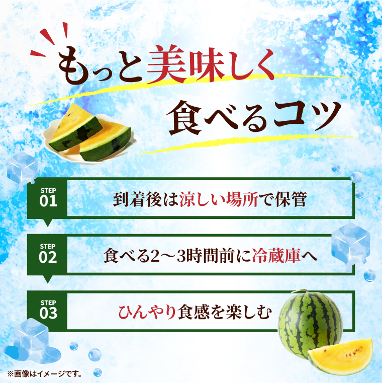 すいか 金色羅皇 2L（1玉） 西瓜 高糖度 シャリ感 甘い 夏限定 旬 フルーツ すいか 人気 産地直送 ギフト 茨城県 阿見町【先行予約｜2026年6月中旬より発送】（76-09）