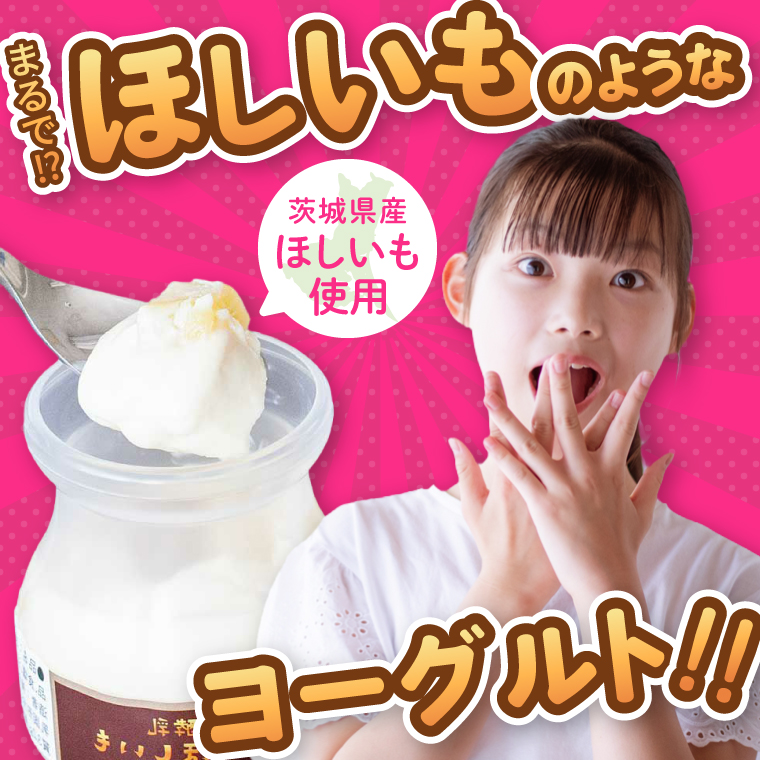 まるでほしいも 100g×6個 (ほしいもクン特製 化粧箱入り 1箱 (3個入り)×2個) 干し芋風 さつまいもスイーツ しっとり 食感 甘い おやつ 人気 お菓子 お取り寄せ【茨城県共通返礼品/つくば市】（106-22）
