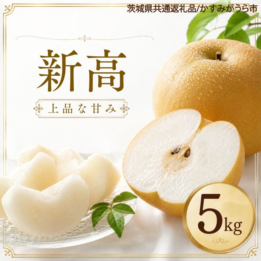 梨 果物 新高 なし 5kg 1箱 フルーツ くだもの 秋 旬 果汁 甘み 茨城県産 期間限定 数量限定 【茨城県共通返礼品/かすみがうら市】（107-03）