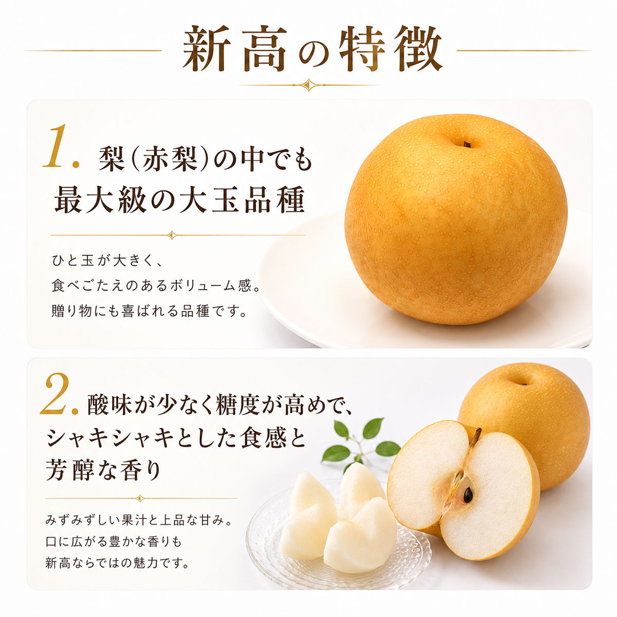 梨 果物 新高 なし 5kg 1箱 フルーツ くだもの 秋 旬 果汁 甘み 茨城県産 期間限定 数量限定 【茨城県共通返礼品/かすみがうら市】（107-03）