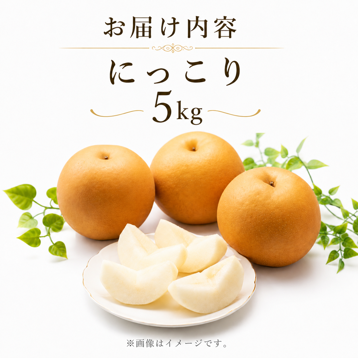 梨 果物 にっこり なし 5kg 1箱 フルーツ くだもの 秋 旬 果汁 甘み 茨城県産 期間限定 数量限定 【茨城県共通返礼品/かすみがうら市】（107-04）