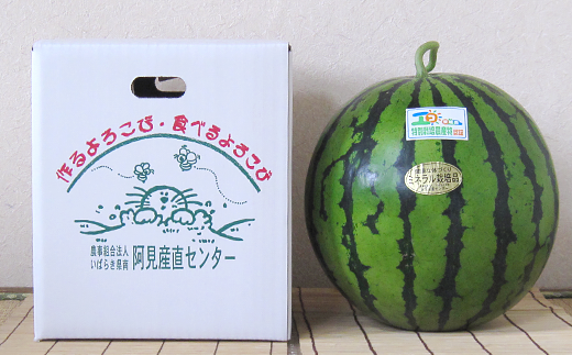 20-27茨城県産大玉スイカ3Lサイズ（8～9kg）【大地のめぐみ】（2024年6月上旬～7月下旬頃にお届け）