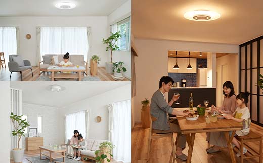 41-27LEDシーリングライト 導光板 12畳 CEA-A12DLP【アイリスオーヤマ