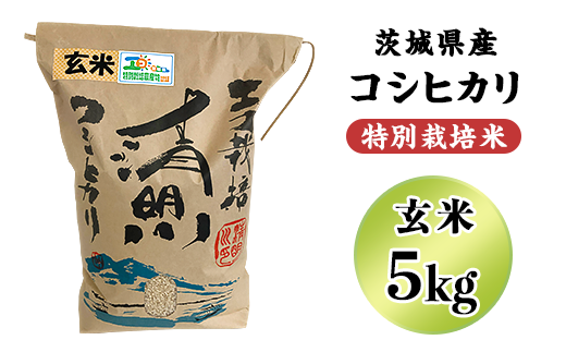 20-20茨城県産コシヒカリ特別栽培米5kg（玄米）【大地のめぐみ】
