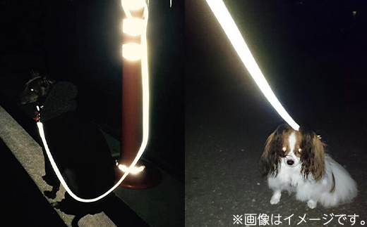 48-03オリジナル反射材の犬用リード（虹ストライプ）【10kg用】