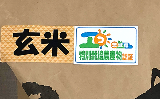 20-21茨城県産コシヒカリ特別栽培米10kg（5kg×2袋）玄米【大地のめぐみ】