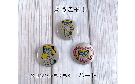 48-07阿見町公式キャラクター「あみっぺ」光る缶バッジ３種セット