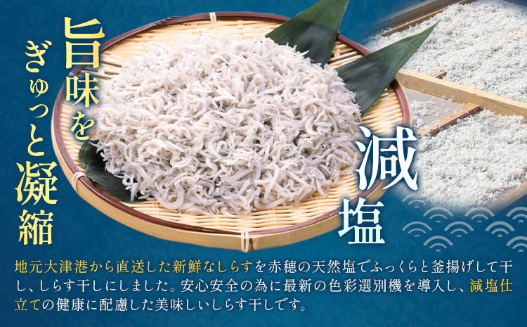 しらす干し 小分け 大津港水揚げ しらす 1.5kg (茨城県共通返礼品：北茨城市) 川崎水産有限会社 《30日以内に出荷予定(土日祝除く)》しらす干 小分けパック 減塩 茨城県 河内町【配送不可地域あり】（沖縄・離島）