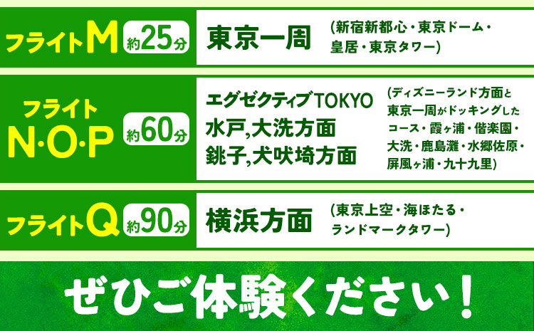 セスナ機遊覧飛行体験 3名 フライトA（約8分コース） 新中央航空株式会社《30日以内に出荷予定(土日祝除く)》茨城県 河内町 セスナ 飛行体験