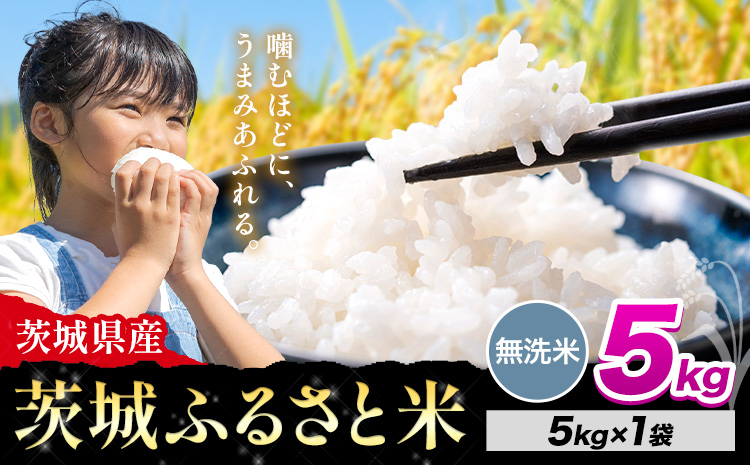 米 茨城 ふるさと米 無洗米 5kg《7-14日以内に出荷予定(土日祝除く)》茨城県 河内町 米 国産 お米 おこめ お弁当 おにぎり