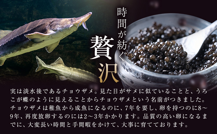 キャビア 純国産キャビア Voeu-Pense 2個 《12月中旬頃出荷》キャビアフィッシュカンパニー 高級 チョウザメ クラッカー バゲット パスタ 茨城県 河内町