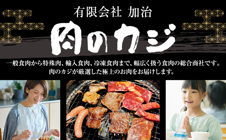 常陸牛 黒毛和牛 牛肉 サーロインステーキ 900g (茨城県共通返礼品：茨城県産) 有限会社加治 肉のカジ《30日以内に出荷予定(土日祝除く) 》茨城県 河内町 お肉 肉 牛肉 和牛 牛肉 サーロイン ステーキ 国産 国産牛 茨城県産【配送不可地域あり】（沖縄・離島）