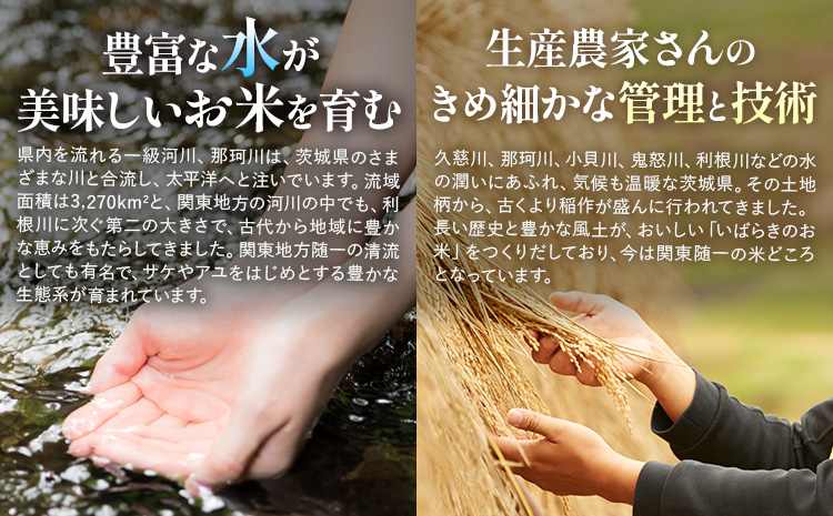 米 茨城 ふるさと米 精米 15kg《7-14日以内に出荷予定(土日祝除く)》茨城県 河内町 米 国産 お米 おこめ お弁当 おにぎり