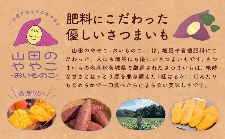 干し芋 山田のややこ おいものこ ほしいもセット 300g  《30日以内に出荷予定(土日祝除く)》株式会社ゆうゆう農園 スイーツ おやつ 芋 さつまいも 和菓子 お菓子 茨城県 河内町【配送不可地域あり】（沖縄・離島）