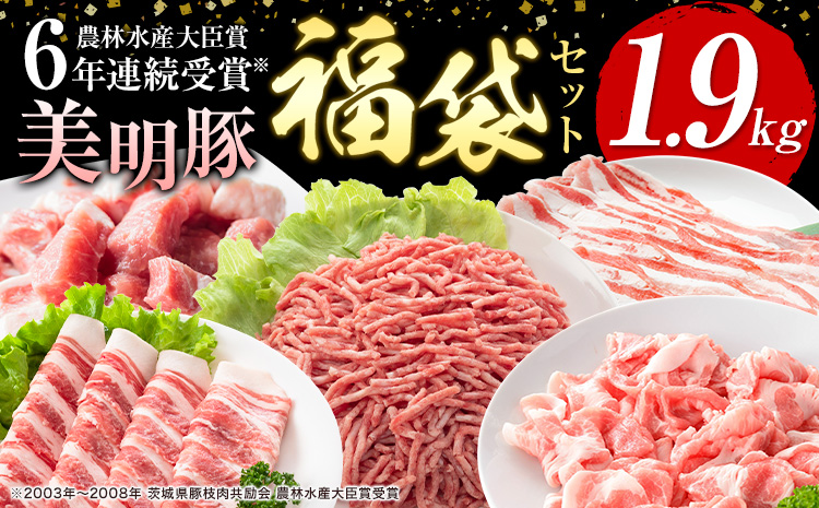 豚肉 肉 福袋 セット 美明豚 肩ロース バラ 挽肉 切り落とし 角切り 計1.9kg ワークミート《90日以内に出荷予定(土日祝除く)》茨城県 河内町 豚肉セット SPF豚 びめいとん 詰め合わせ 部位 豚 挽き肉 切落し 豚バラ ロース お取り寄せ