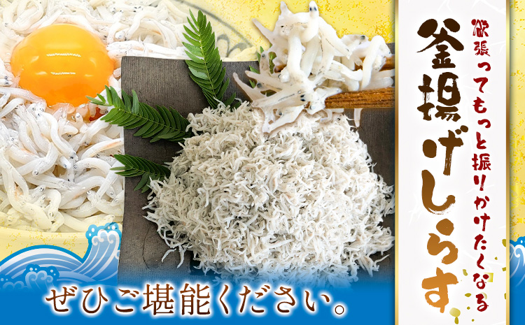 釜揚げしらす 大津港水揚げ しらす 2kg (茨城県共通返礼品：北茨城市) 川崎水産有限会社 《30日以内に出荷予定(土日祝除く)》釜揚げ 減塩 茨城県 河内町 【配送不可地域あり】（沖縄・離島）
