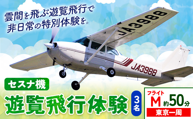 セスナ機遊覧飛行体験 3名 フライトM（約50分コース） 新中央航空株式会社《30日以内に出荷予定(土日祝除く)》茨城県 河内町 セスナ 飛行体験