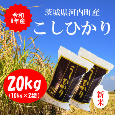 令和6年産茨城県河内町産コシヒカリ20kg(10kg×2袋)【配送不可地域：離島・沖縄県】【1254350】