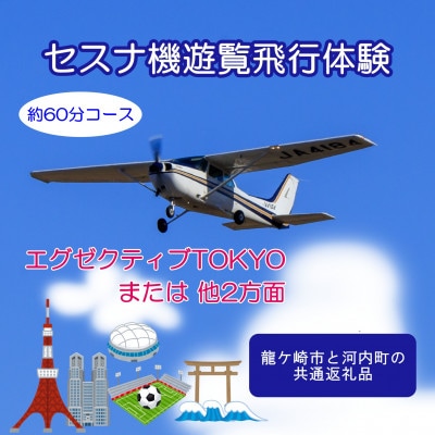 【ペア】セスナ機遊覧飛行体験〈約60分コース〉(フライトN・O・P)　龍ケ崎市と河内町の共通返礼品【配送不可地域：離島・沖縄県】【1538690】