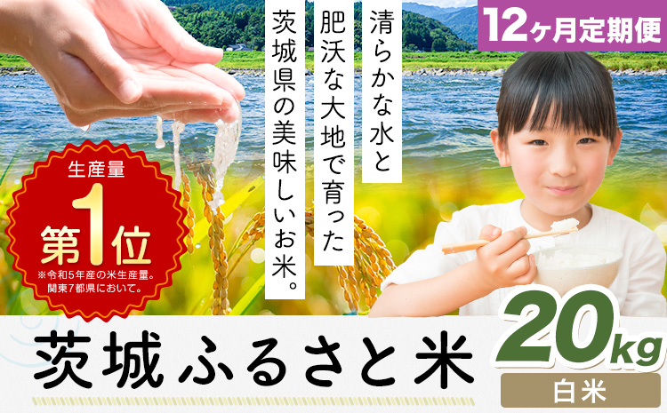 【12ヶ月定期便】米 茨城 ふるさと米 白米 20kg《申込月の翌月より出荷開始》茨城県 河内町 米 国産 お米 おこめ お弁当 おにぎり
