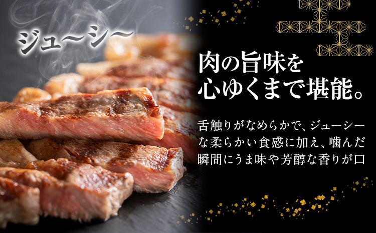 常陸牛 黒毛和牛 牛肉 サーロインステーキ 400g (茨城県共通返礼品：茨城県産) 有限会社加治 肉のカジ《30日以内に出荷予定(土日祝除く) 》茨城県 河内町 お肉 肉 牛肉 和牛 牛肉 サーロイン ステーキ 国産 国産牛 茨城県産【配送不可地域あり】（沖縄・離島）