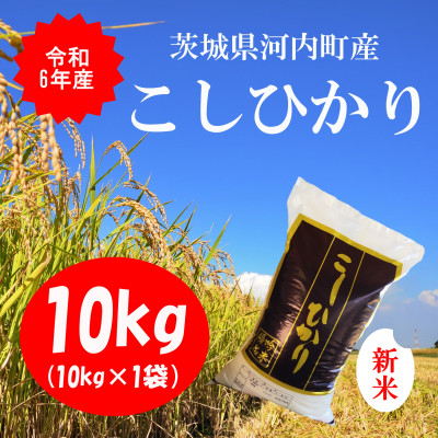 令和6年産茨城県河内町産コシヒカリ10kg(10kg×1袋)【配送不可地域：離島・沖縄県】【1254349】