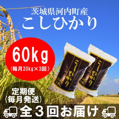 【毎月定期便】茨城県河内町産コシヒカリ20kg(10kg×2袋)全3回【配送不可地域：離島・沖縄県】【4058877】