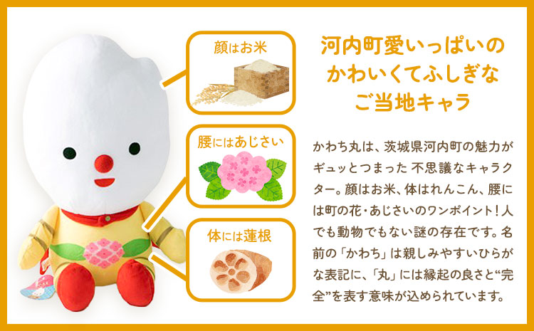 河内町 イメージキャラクター かわち丸 ぬいぐるみ 大1個 まちづくり河内株式会社かわち夢楽《30日以内に出荷予定(土日祝除く)》 茨城県 河内町 ぬいぐるみ かわち丸