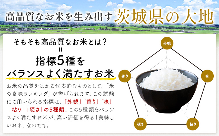 【3か月定期便】米 茨城 ふるさと米 白米 20kg《申込月の翌月より出荷開始》茨城県 河内町 米 国産 お米 おこめ お弁当 おにぎり