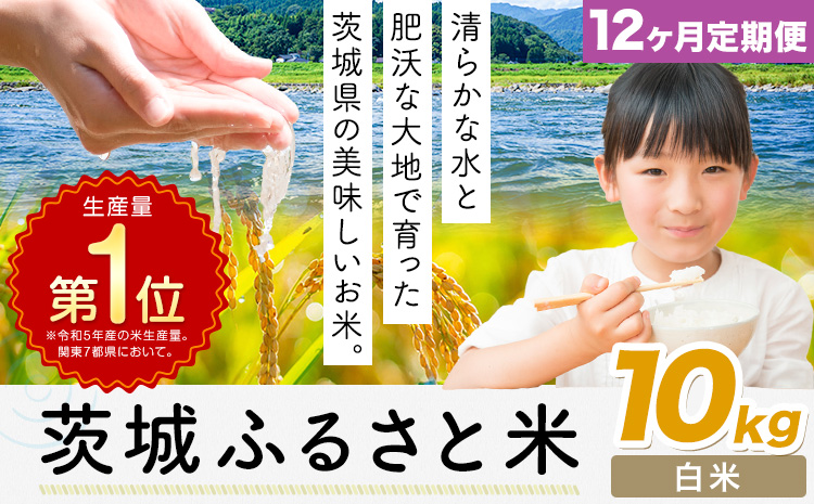【12ヶ月定期便】米 茨城 ふるさと米 白米 10kg《申込月の翌月より出荷開始》茨城県 河内町 米 国産 お米 おこめ お弁当 おにぎり