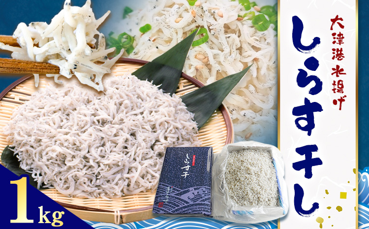 しらす干し 大津港水揚げ しらす 1kg (茨城県共通返礼品：北茨城市) 川崎水産有限会社 《30日以内に出荷予定(土日祝除く)》しらす干 減塩 茨城県 河内町 【配送不可地域あり】（沖縄・離島）