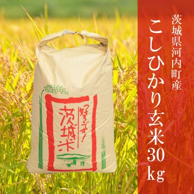 令和6年産茨城県河内町産コシヒカリ30kg(玄米)【配送不可地域：離島・沖縄県】【1252387】