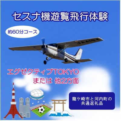 【3名】セスナ機遊覧飛行体験〈約60分コース〉(フライトN・O・P)【配送不可地域：離島・沖縄県】【1538724】