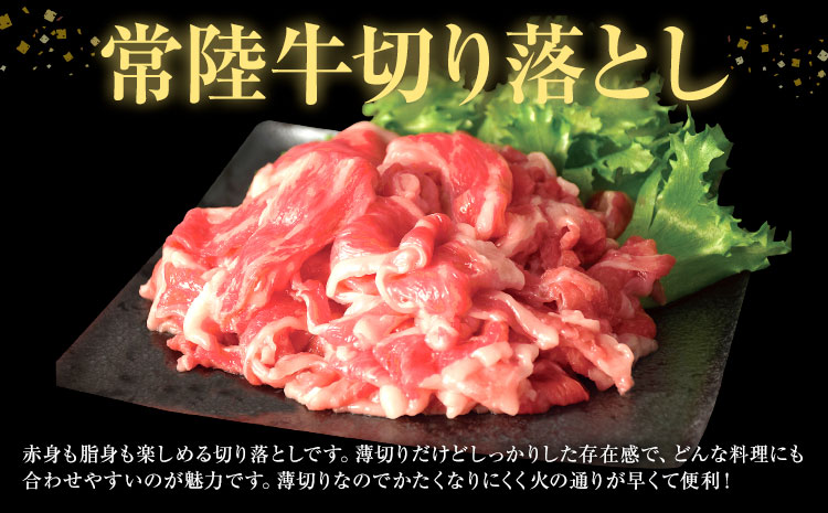 常陸牛 切り落とし 500g × 2パック 1kg (茨城県共通返礼品：茨城県産) ワークミート《30日以内に出荷予定(土日祝除く)》茨城県 河内町 常陸牛 和牛 切り落とし 焼肉 牛丼 肉じゃが 牛肉 牛 1000g