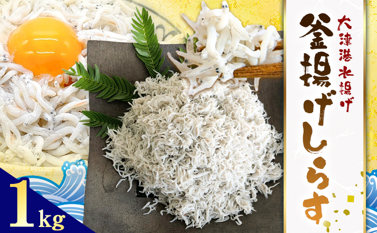 釜揚げしらす 大津港水揚げ しらす 1kg (茨城県共通返礼品：北茨城市) 川崎水産有限会社 《30日以内に出荷予定(土日祝除く)》釜揚げ 減塩 茨城県 河内町 【配送不可地域あり】（沖縄・離島）